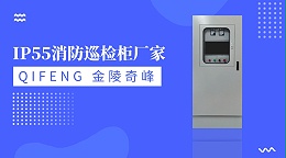 金陵奇峰IP55消防巡检柜厂家