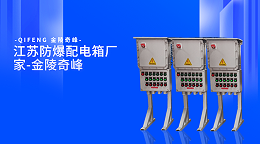 江苏防爆配电箱厂家-金陵奇峰