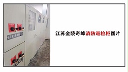 江苏金陵奇峰消防巡检柜图片