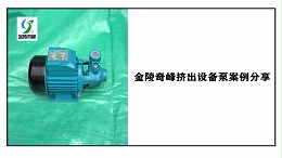金陵奇峰挤出设备泵案例分享