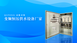 变频恒压供水设备厂家-金陵奇峰