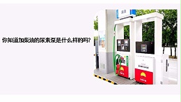 你知道加柴油的尿素泵是什么样的吗？